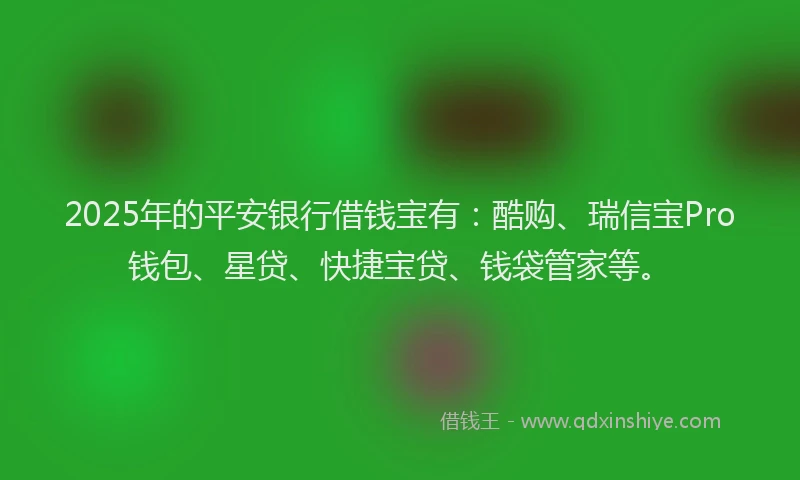 2025年的平安银行借钱宝有：酷购、瑞信宝Pro钱包、星贷、快捷宝贷、钱袋管家等。