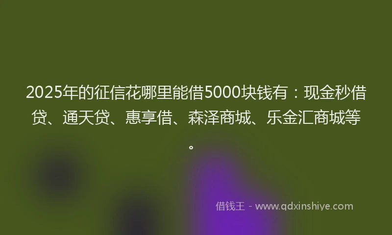 2025年的征信花哪里能借5000块钱有：现金秒借贷、通天贷、惠享借、森泽商城、乐金汇商城等。