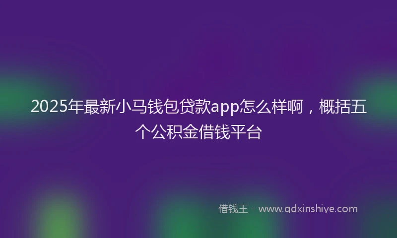 2025年最新小马钱包贷款app怎么样啊，概括五个公积金借钱平台