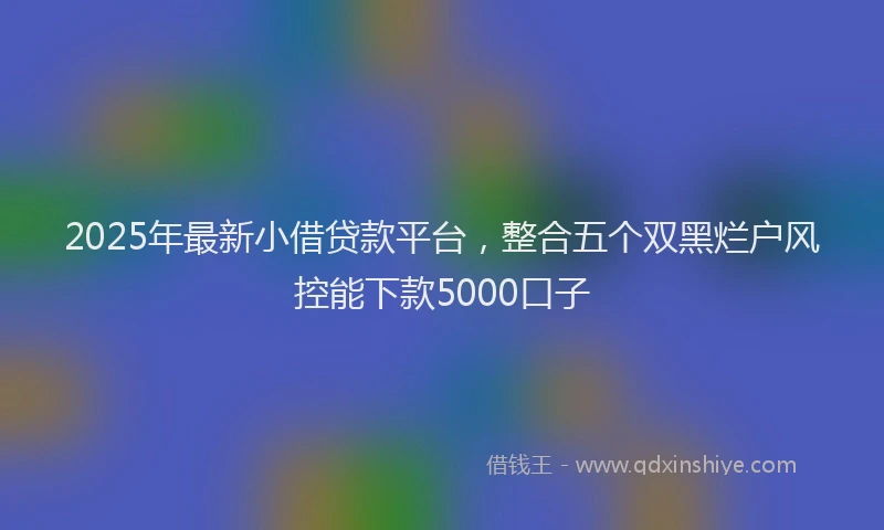 2025年最新小借贷款平台，整合五个双黑烂户风控能下款5000口子