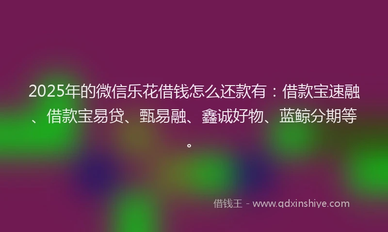 2025年的微信乐花借钱怎么还款有：借款宝速融、借款宝易贷、甄易融、鑫诚好物、蓝鲸分期等。