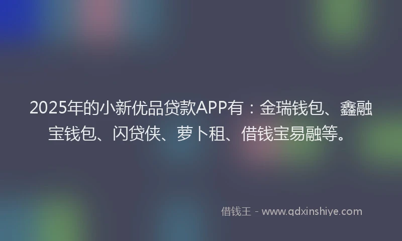2025年的小新优品贷款APP有：金瑞钱包、鑫融宝钱包、闪贷侠、萝卜租、借钱宝易融等。
