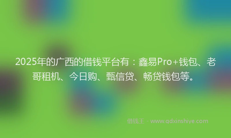 2025年的广西的借钱平台有：鑫易Pro+钱包、老哥租机、今日购、甄信贷、畅贷钱包等。