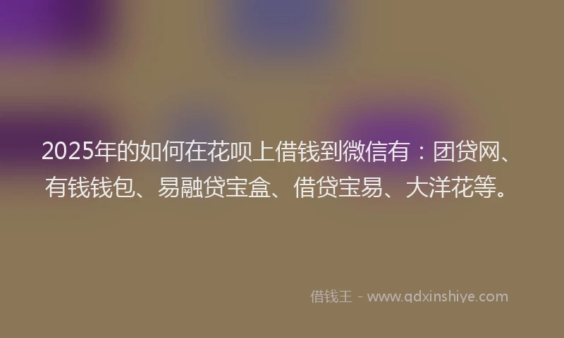 2025年的如何在花呗上借钱到微信有：团贷网、有钱钱包、易融贷宝盒、借贷宝易、大洋花等。