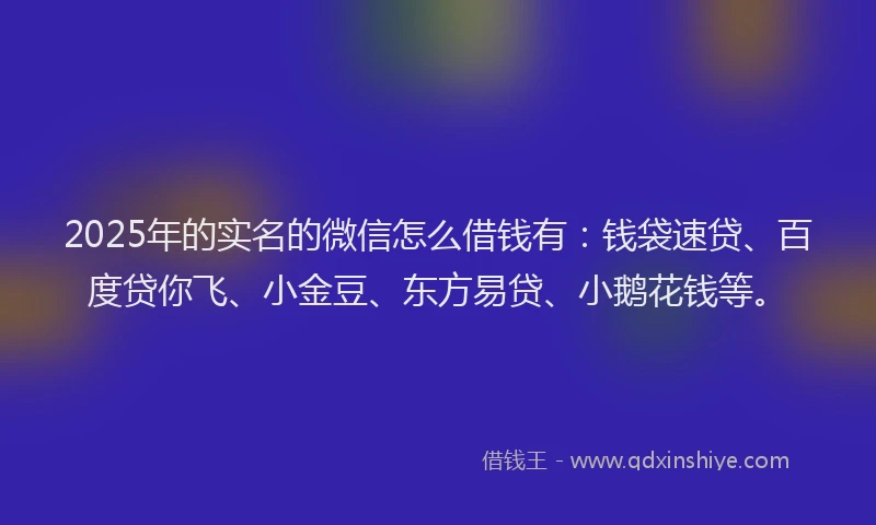 2025年的实名的微信怎么借钱有：钱袋速贷、百度贷你飞、小金豆、东方易贷、小鹅花钱等。