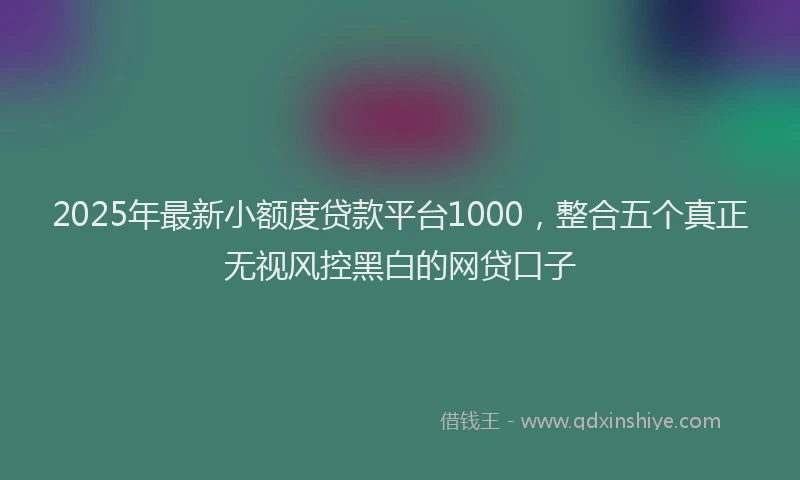 2025年最新小额度贷款平台1000，整合五个真正无视风控黑白的网贷口子