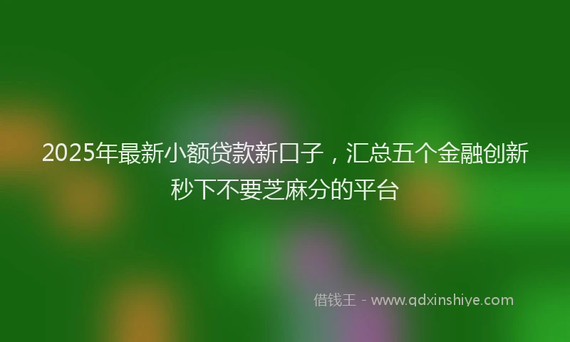 2025年最新小额贷款新口子，汇总五个金融创新秒下不要芝麻分的平台