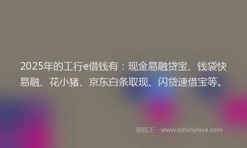 2025年的工行e借钱有：现金易融贷宝、钱袋快易融、花小猪、京东白条取现、闪贷速借宝等。