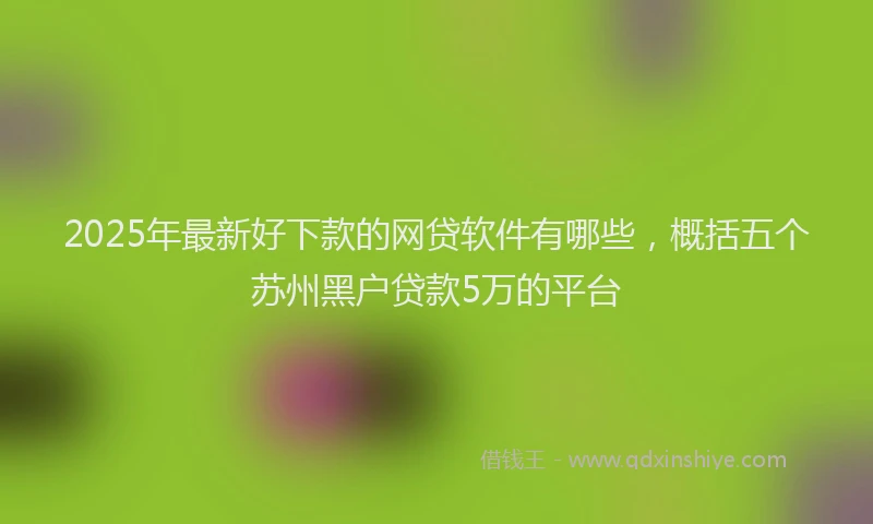 2025年最新好下款的网贷软件有哪些，概括五个苏州黑户贷款5万的平台