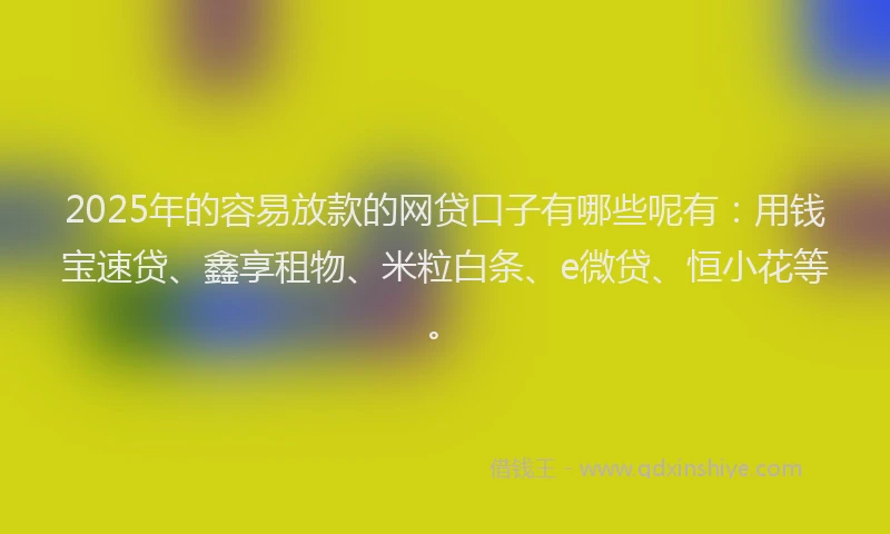 2025年的容易放款的网贷口子有哪些呢有：用钱宝速贷、鑫享租物、米粒白条、e微贷、恒小花等。