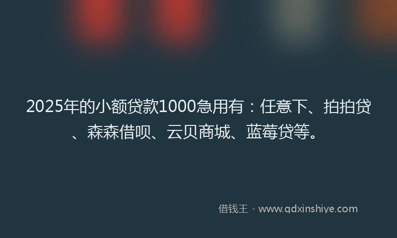 2025年的小额贷款1000急用有：任意下、拍拍贷、森森借呗、云贝商城、蓝莓贷等。
