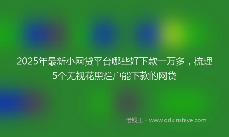 2025年最新小网贷平台哪些好下款一万多，梳理5个无视花黑烂户能下款的网贷