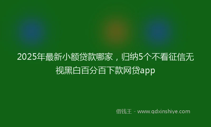 2025年最新小额贷款哪家，归纳5个不看征信无视黑白百分百下款网贷app