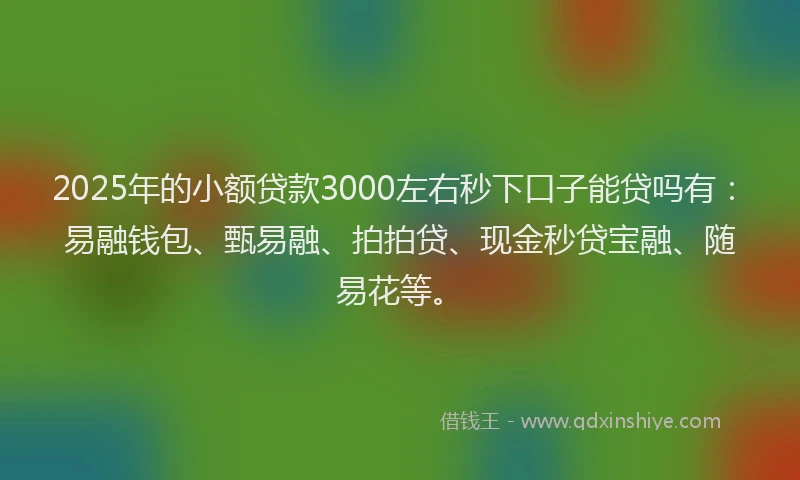 2025年的小额贷款3000左右秒下口子能贷吗有：易融钱包、甄易融、拍拍贷、现金秒贷宝融、随易花等。