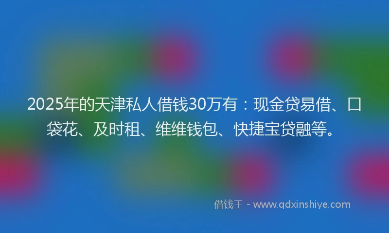 2025年的天津私人借钱30万有：现金贷易借、口袋花、及时租、维维钱包、快捷宝贷融等。
