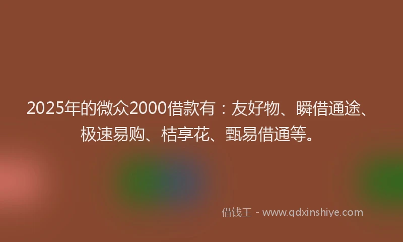 2025年的微众2000借款有：友好物、瞬借通途、极速易购、桔享花、甄易借通等。