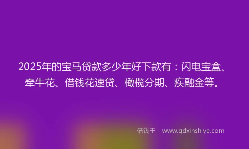 2025年的宝马贷款多少年好下款有：闪电宝盒、牵牛花、借钱花速贷、橄榄分期、疾融金等。