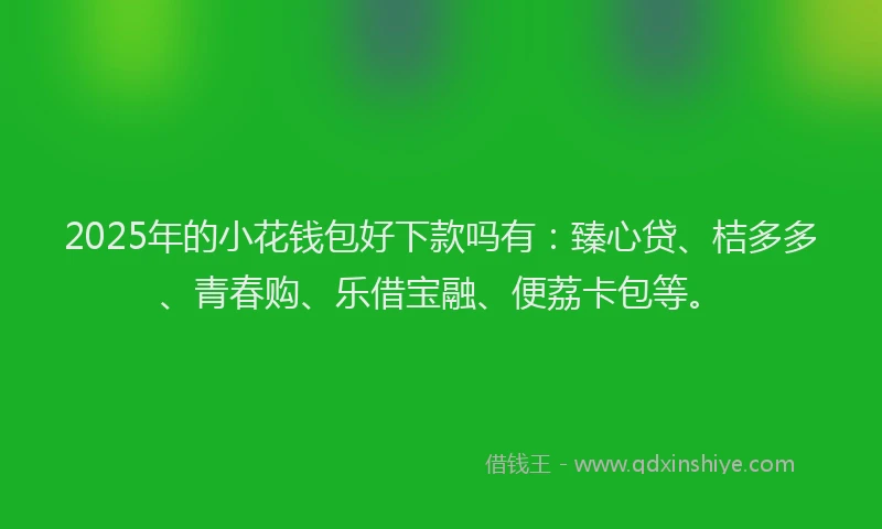 2025年的小花钱包好下款吗有：臻心贷、桔多多、青春购、乐借宝融、便荔卡包等。