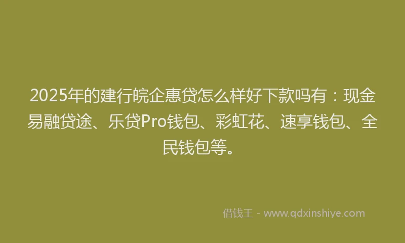 2025年的建行皖企惠贷怎么样好下款吗有：现金易融贷途、乐贷Pro钱包、彩虹花、速享钱包、全民钱包等。