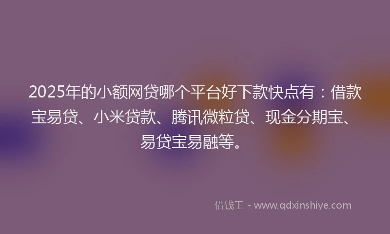 2025年的小额网贷哪个平台好下款快点有：借款宝易贷、小米贷款、腾讯微粒贷、现金分期宝、易贷宝易融等。
