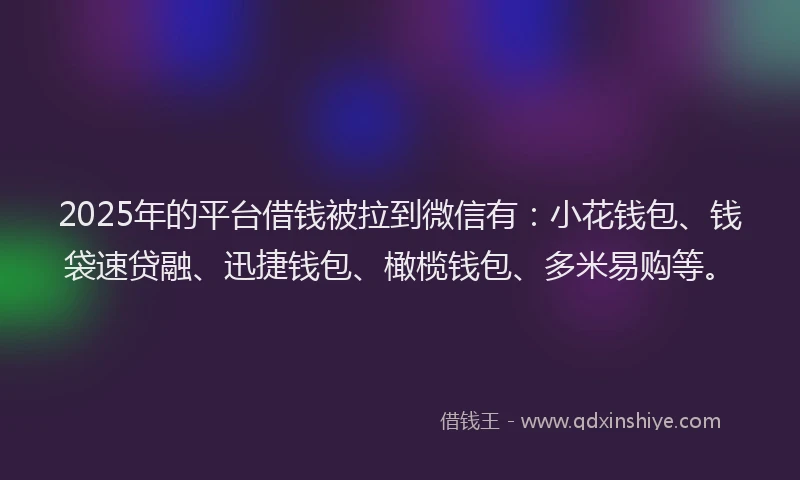 2025年的平台借钱被拉到微信有：小花钱包、钱袋速贷融、迅捷钱包、橄榄钱包、多米易购等。