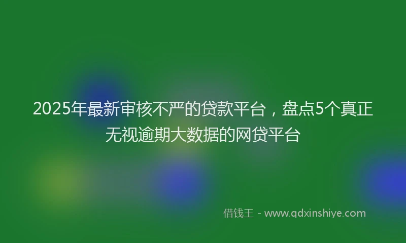 2025年最新审核不严的贷款平台，盘点5个真正无视逾期大数据的网贷平台