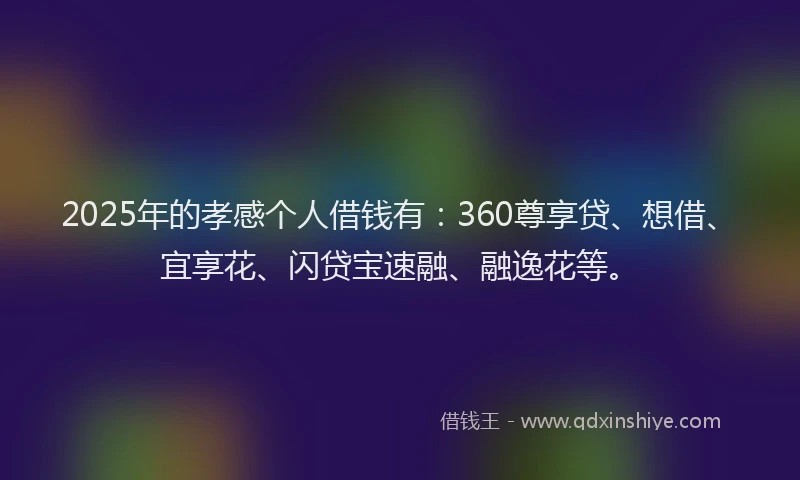 2025年的孝感个人借钱有：360尊享贷、想借、宜享花、闪贷宝速融、融逸花等。
