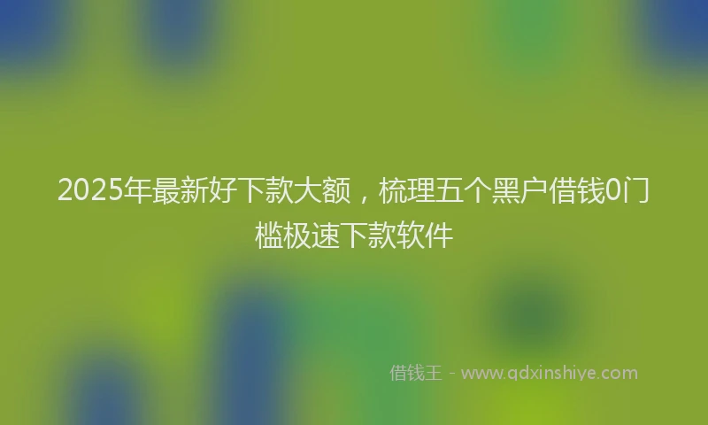 2025年最新好下款大额，梳理五个黑户借钱0门槛极速下款软件
