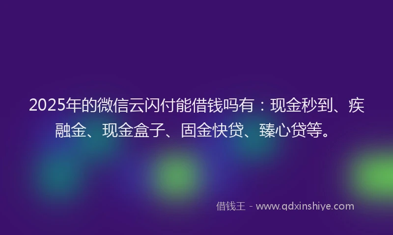 2025年的微信云闪付能借钱吗有：现金秒到、疾融金、现金盒子、固金快贷、臻心贷等。