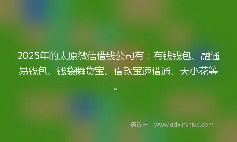 2025年的太原微信借钱公司有：有钱钱包、融通易钱包、钱袋瞬贷宝、借款宝速借通、天小花等。