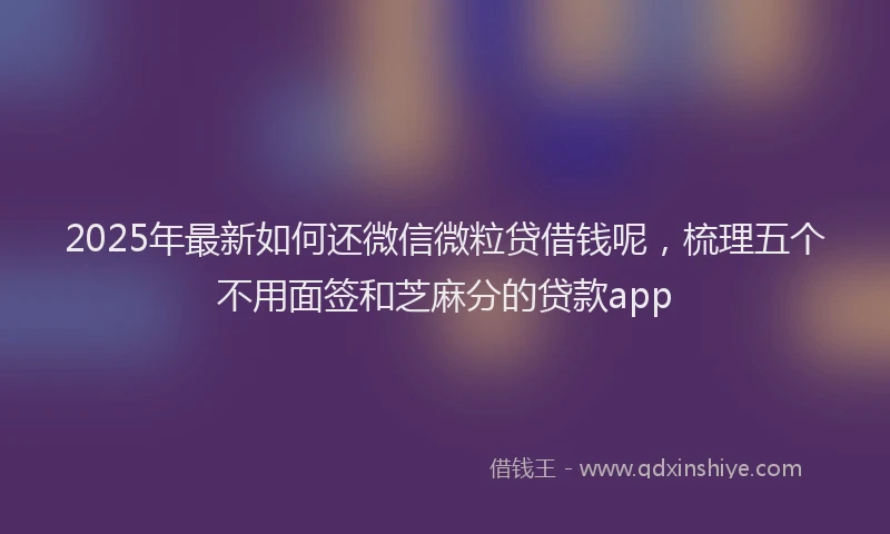 2025年最新如何还微信微粒贷借钱呢，梳理五个不用面签和芝麻分的贷款app