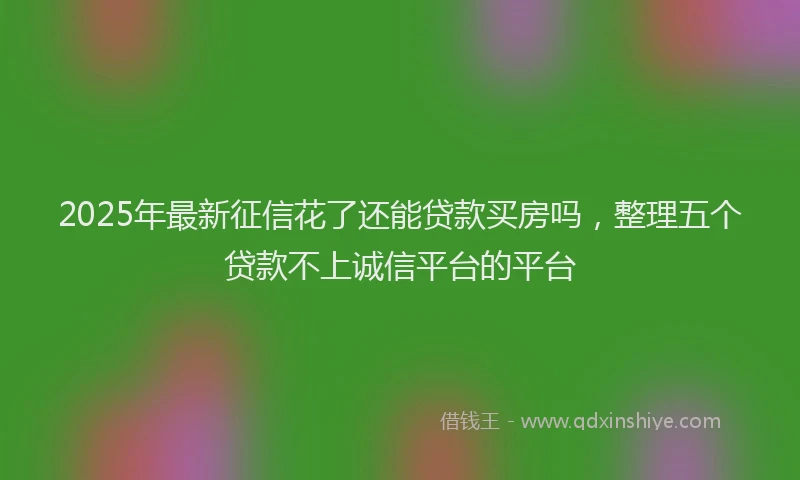 2025年最新征信花了还能贷款买房吗，整理五个贷款不上诚信平台的平台