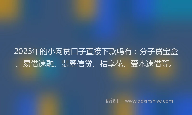 2025年的小网贷口子直接下款吗有：分子贷宝盒、易借速融、翡翠信贷、桔享花、爱木速借等。