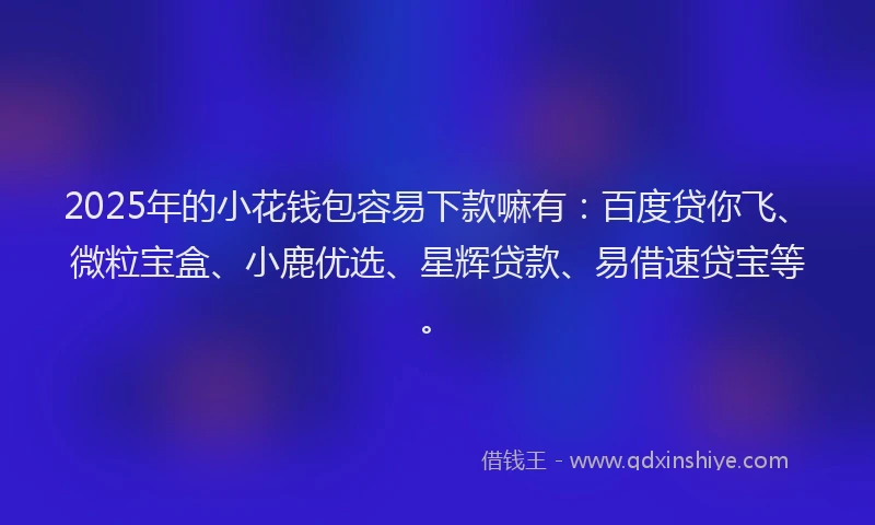 2025年的小花钱包容易下款嘛有：百度贷你飞、微粒宝盒、小鹿优选、星辉贷款、易借速贷宝等。