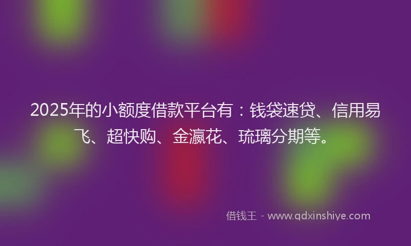 2025年的小额度借款平台有：钱袋速贷、信用易飞、超快购、金瀛花、琉璃分期等。