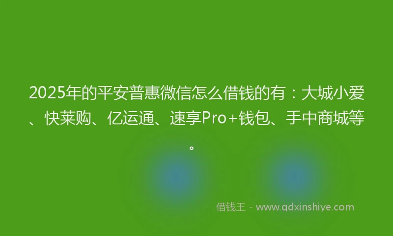 2025年的平安普惠微信怎么借钱的有：大城小爱、快莱购、亿运通、速享Pro+钱包、手中商城等。