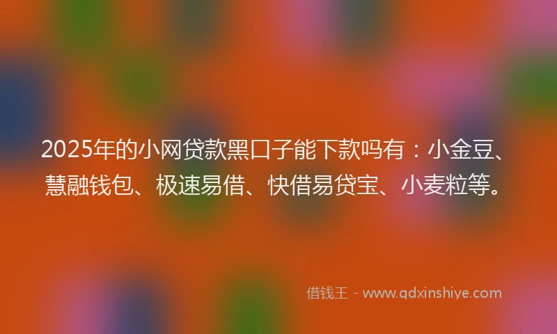 2025年的小网贷款黑口子能下款吗有：小金豆、慧融钱包、极速易借、快借易贷宝、小麦粒等。