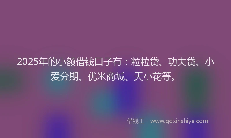 2025年的小额借钱口子有：粒粒贷、功夫贷、小爱分期、优米商城、天小花等。