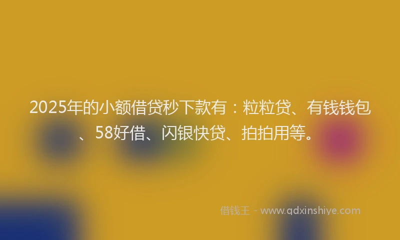 2025年的小额借贷秒下款有：粒粒贷、有钱钱包、58好借、闪银快贷、拍拍用等。