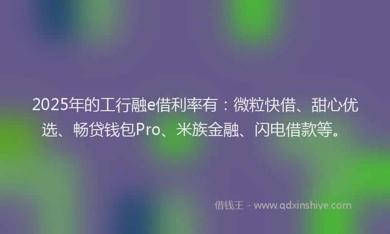 2025年的工行融e借利率有：微粒快借、甜心优选、畅贷钱包Pro、米族金融、闪电借款等。