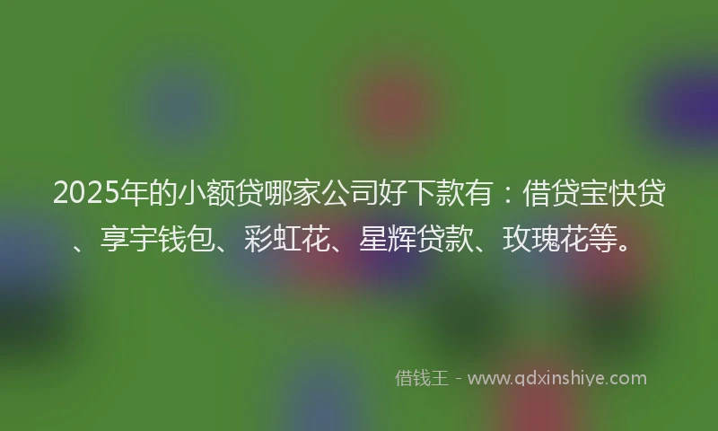 2025年的小额贷哪家公司好下款有：借贷宝快贷、享宇钱包、彩虹花、星辉贷款、玫瑰花等。