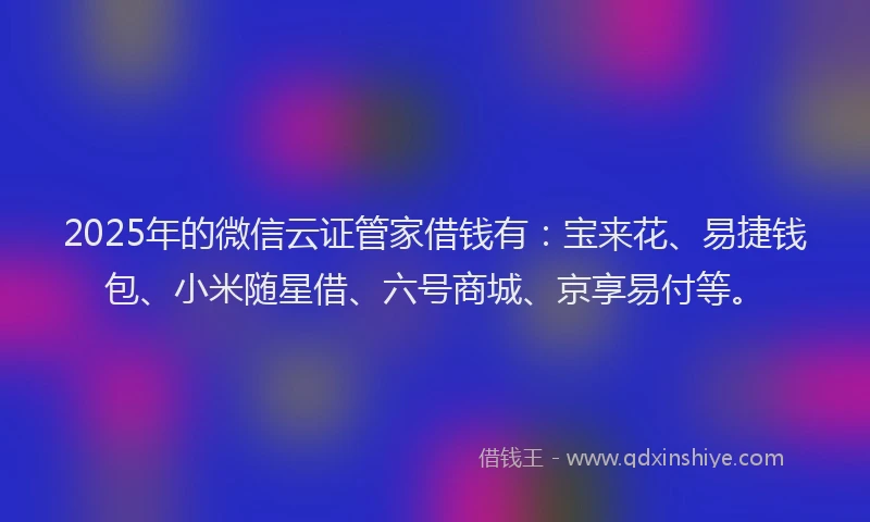 2025年的微信云证管家借钱有：宝来花、易捷钱包、小米随星借、六号商城、京享易付等。