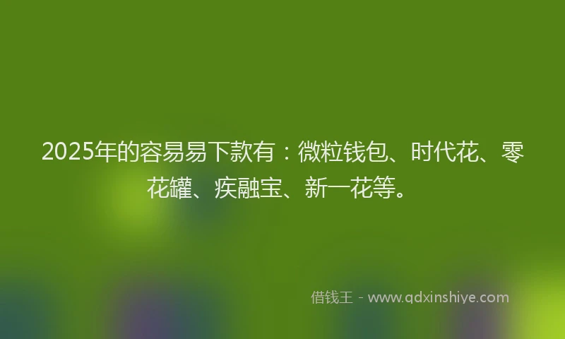 2025年的容易易下款有：微粒钱包、时代花、零花罐、疾融宝、新一花等。