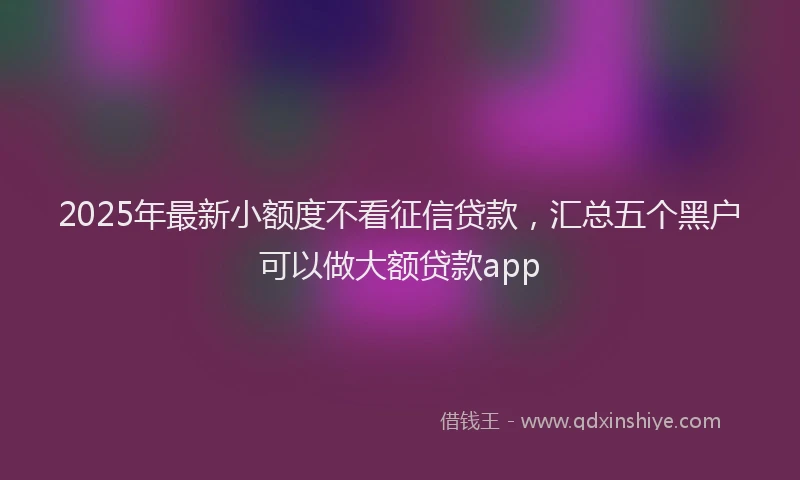 2025年最新小额度不看征信贷款，汇总五个黑户可以做大额贷款app