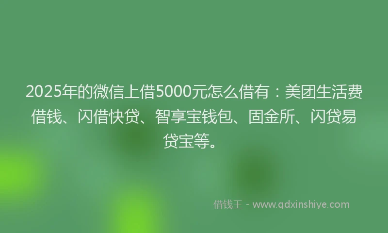 2025年的微信上借5000元怎么借有：美团生活费借钱、闪借快贷、智享宝钱包、固金所、闪贷易贷宝等。