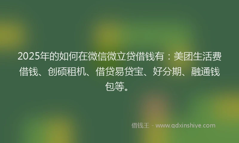 2025年的如何在微信微立贷借钱有：美团生活费借钱、创硕租机、借贷易贷宝、好分期、融通钱包等。