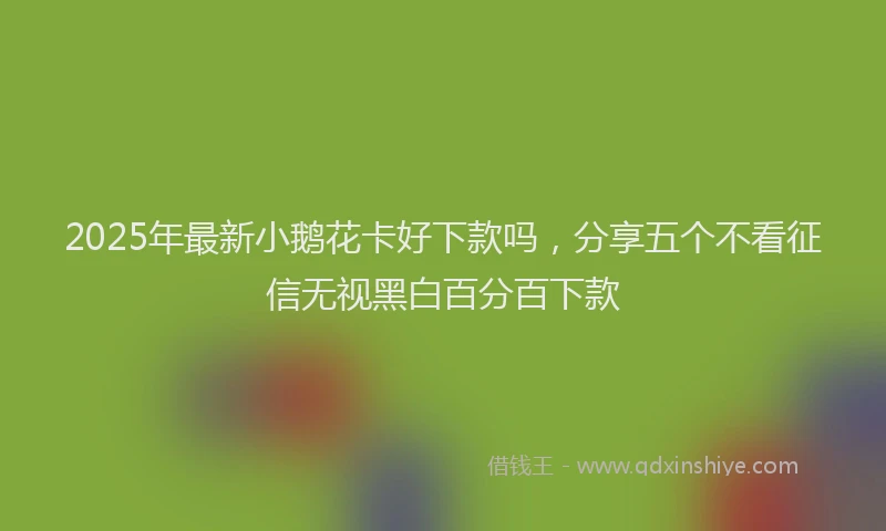 2025年最新小鹅花卡好下款吗，分享五个不看征信无视黑白百分百下款