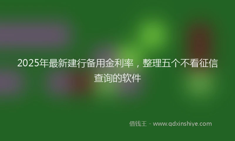 2025年最新建行备用金利率，整理五个不看征信查询的软件