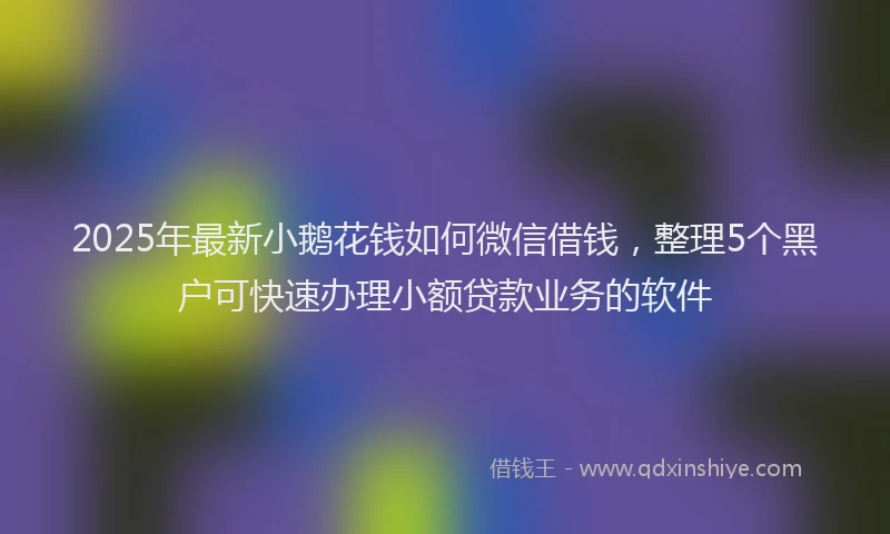 2025年最新小鹅花钱如何微信借钱，整理5个黑户可快速办理小额贷款业务的软件