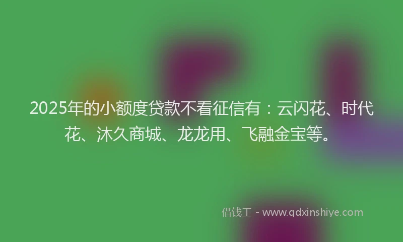 2025年的小额度贷款不看征信有：云闪花、时代花、沐久商城、龙龙用、飞融金宝等。